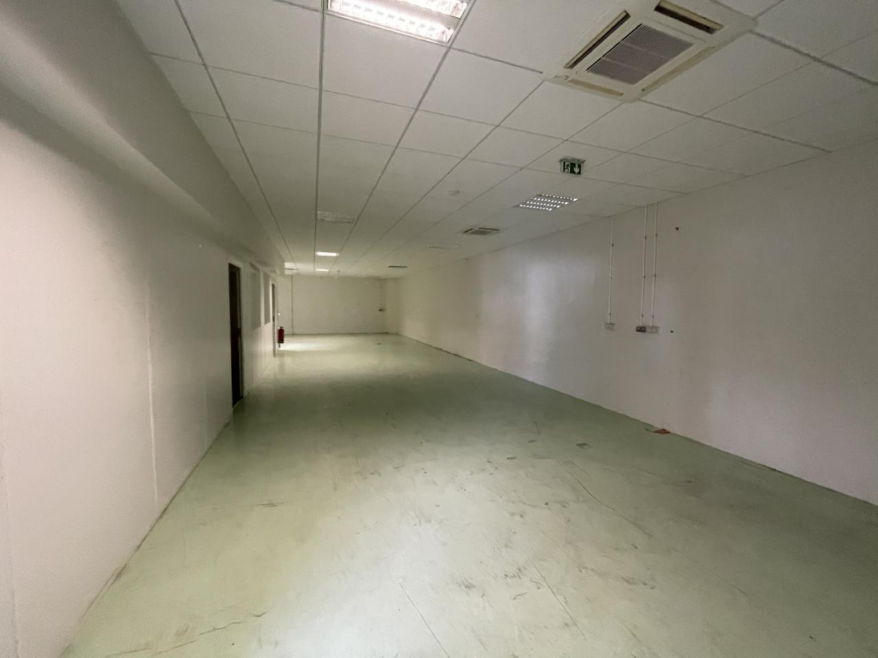 Local d'activité Colomiers 262m² Location local d'activité Colomiers Haute-Garonne OLACT2419554 3